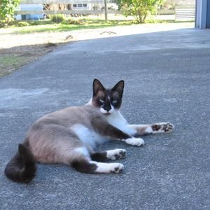 Meet your Posher, Jojo